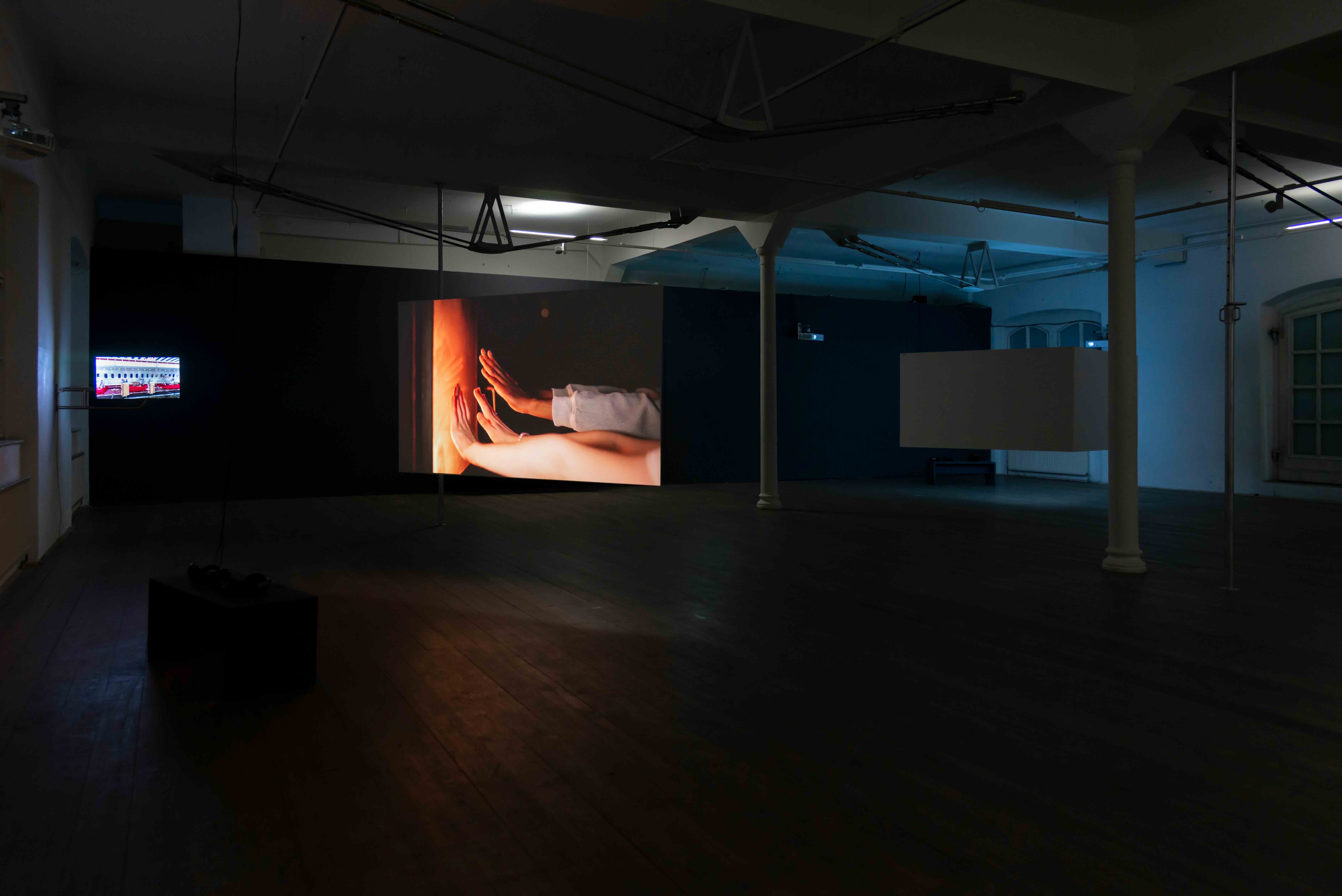 Maier-Ausstellungsansicht-SRSW-Olena_Newkryta